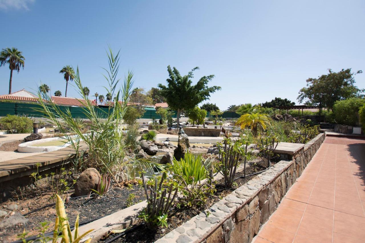 Serenity Garden Maspalomas  Eksteriør bilde