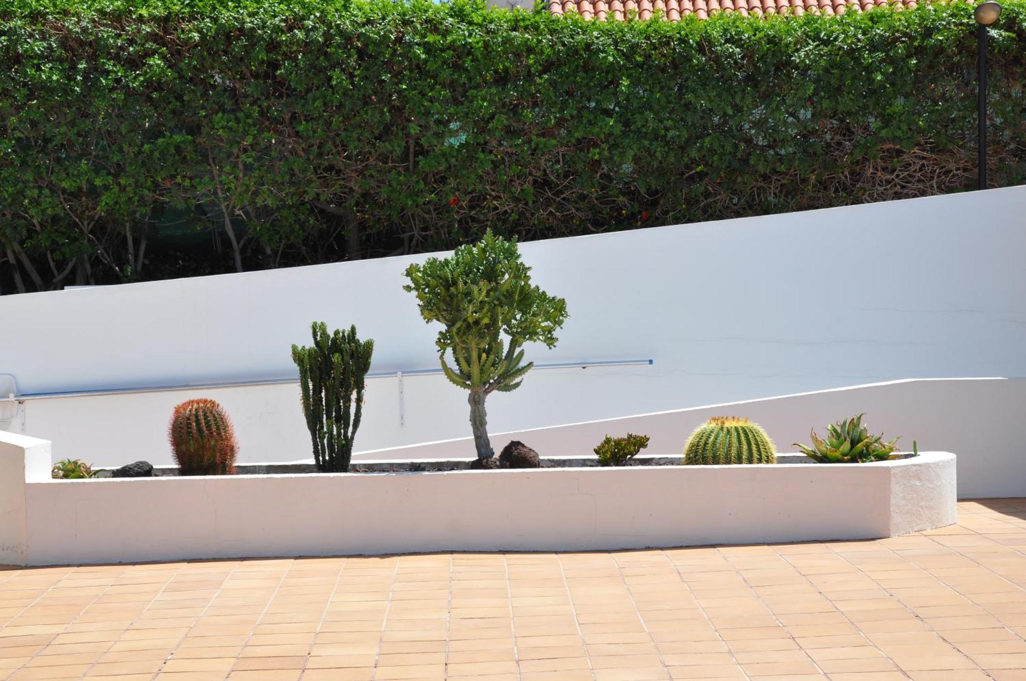 Serenity Garden Maspalomas  Eksteriør bilde