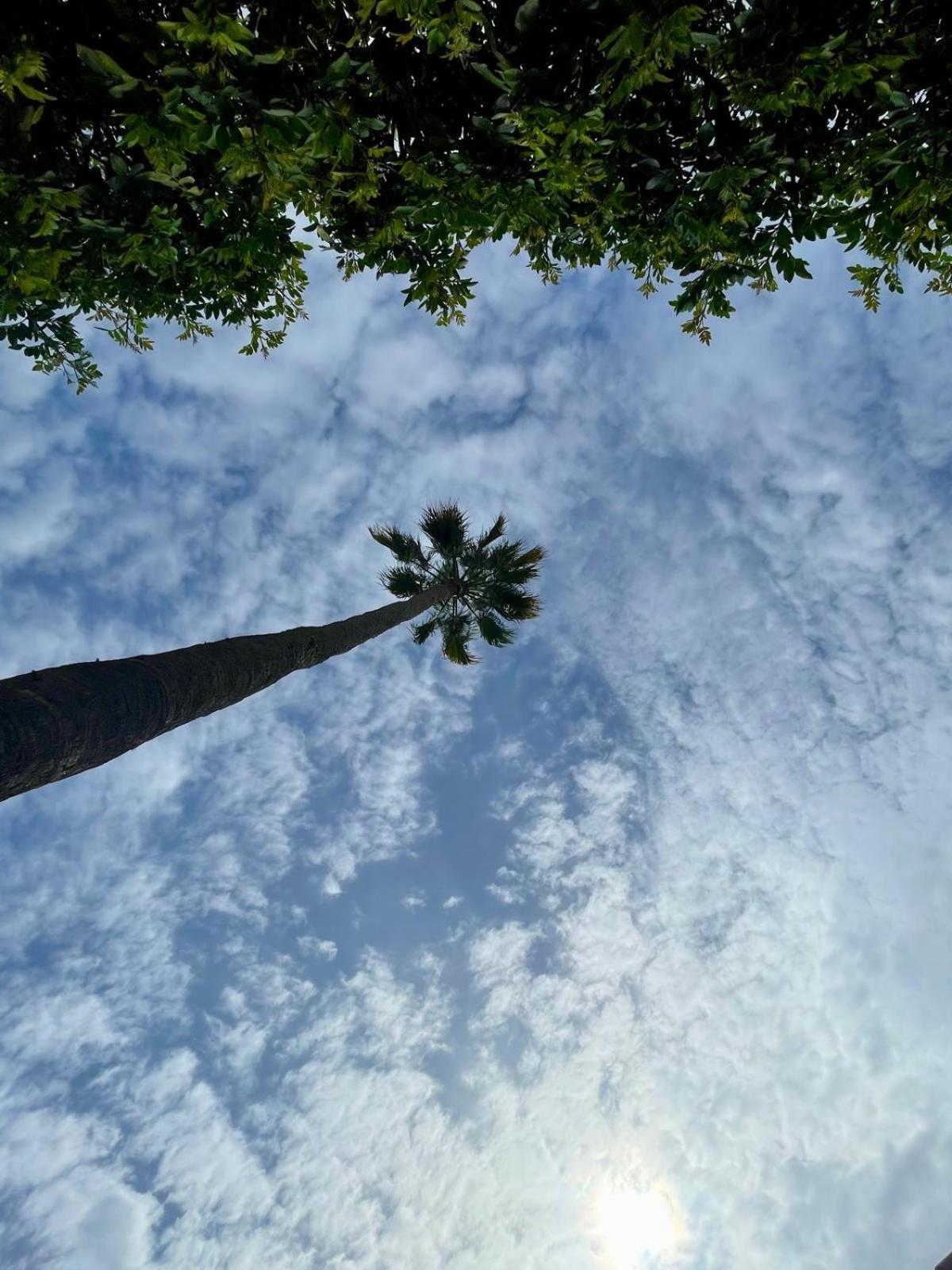 Serenity Garden Maspalomas  Eksteriør bilde